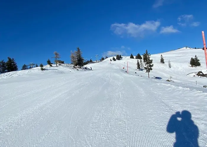 Almhütten Skorianz - Rote Hirschhütte Сasa de vacaciones